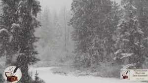 Метелица |Автор-Ольга Павлова|Стихи, Суно, Видео|Подруги-гр.Кумовья,Эх было и было, и это пройдёт!