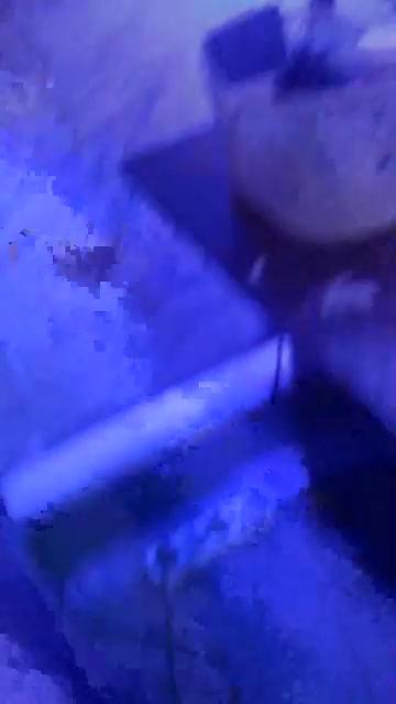 детям смотреть онлайн