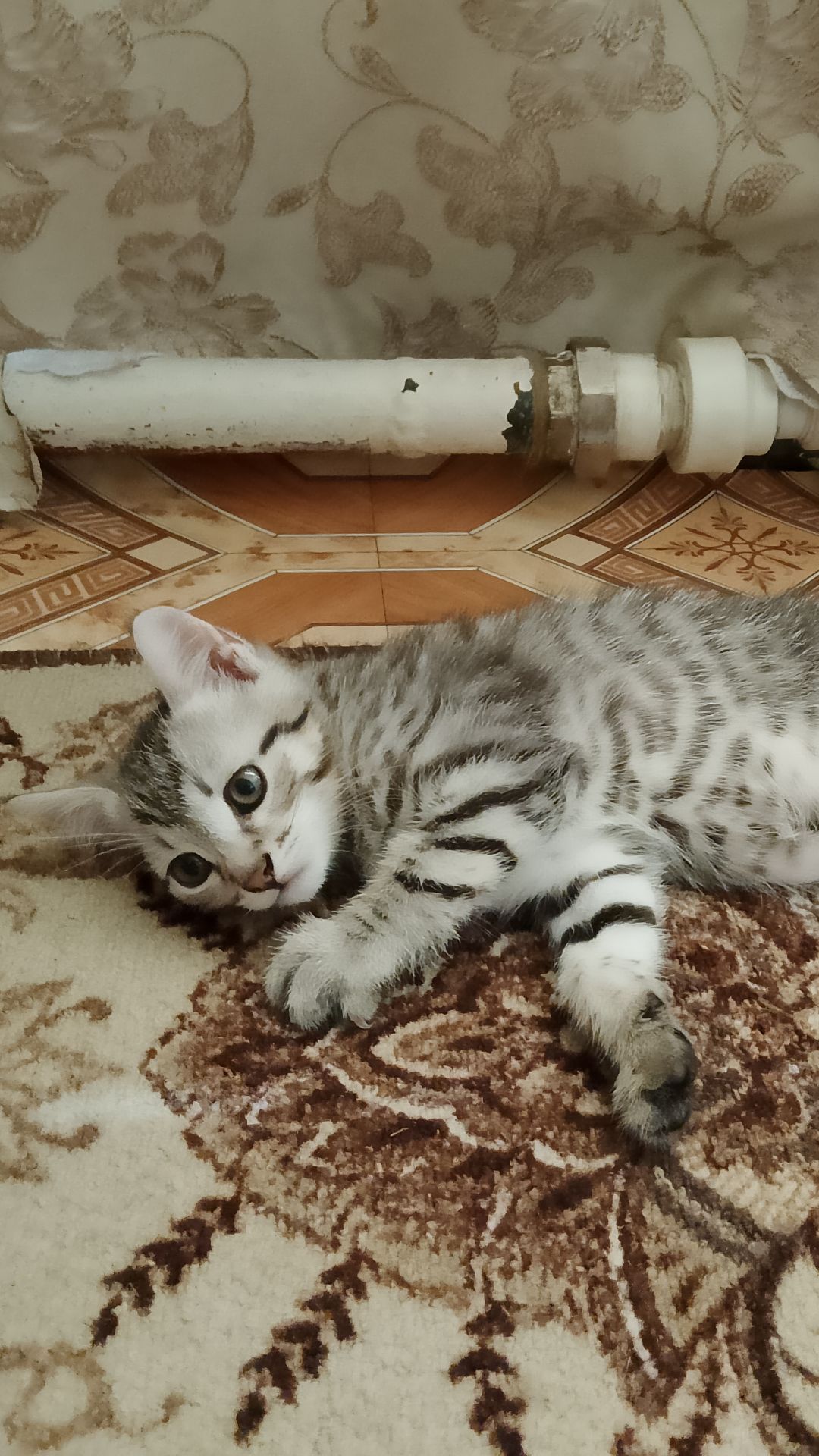 Маракеш_MARIA_BERGEN- парнишка ураган смотреть онлайн