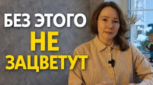 Какие цветы нужно посеять заранее. (январь - февраль)