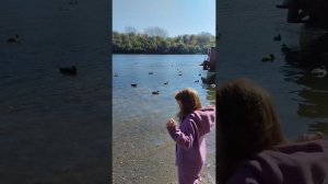 Летняя идиллия: утки, дети и солнечный день у воды! #утки #естественнаякрасота