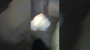 приключение99ночей