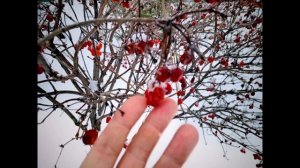 УТРО ПОСЛЕ МЕТЕЛИ