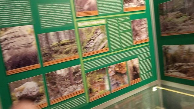 животные Карелии смотреть онлайн