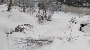 На столе не только детские коленки.А судьи кто?Живём так,как считаем нужным.