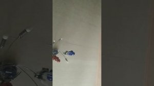 алло братишки