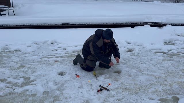 Жёлтый сыр смотреть онлайн