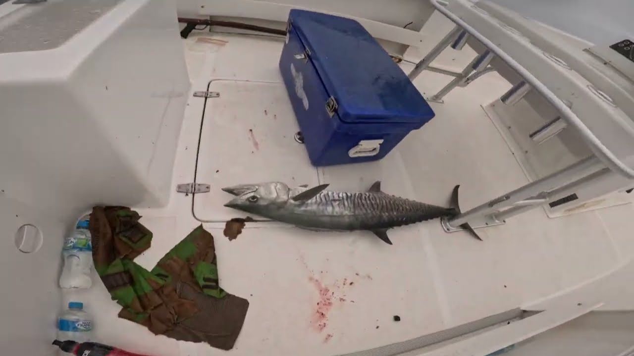 Дождливый день / Подводная охота / Большая рыба ! смотреть онлайн