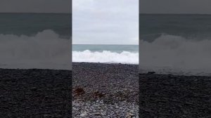 Пляж Сукко 5 января после шторма. Разруха и крах на границе  пляжа и ВДЦ Смена