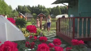 6 соток 24 июня 2021 года. Хроника.