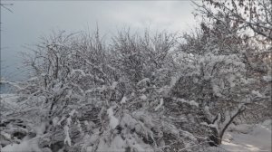 Двери в райские селения.