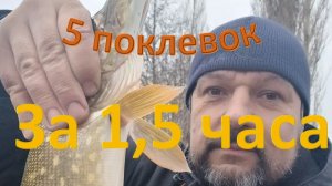 Спиннинг на осенней реке  (для начинающих) Часть 2