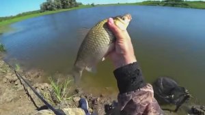 ВОТ ЭТО РЫБАЛКА! КРУПНЫЕ КАРАСИ, ПОПЛАВОК И МОТОЦИКЛ. Рыбалка на карася.