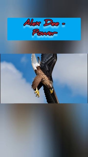 Alex Dee- Power (2006) 
remastered (2026) смотреть онлайн