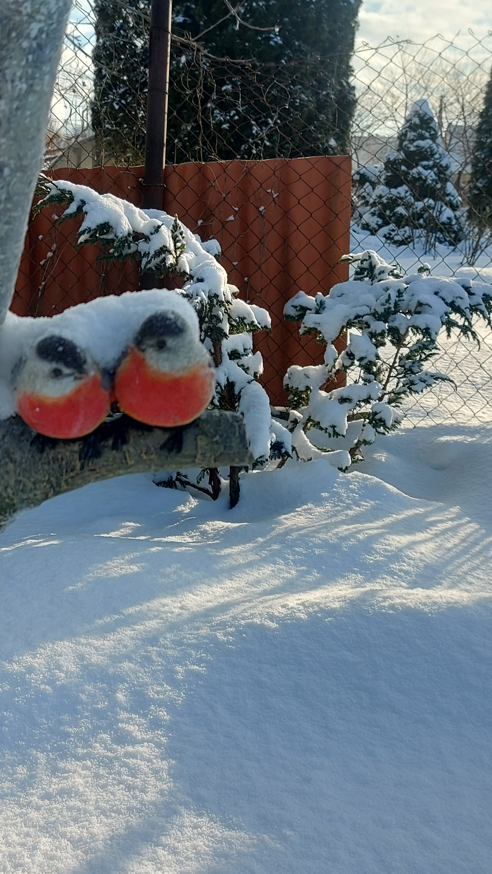 Зимний сад на белом белом покрывале января🌲❄️🌲 смотреть онлайн