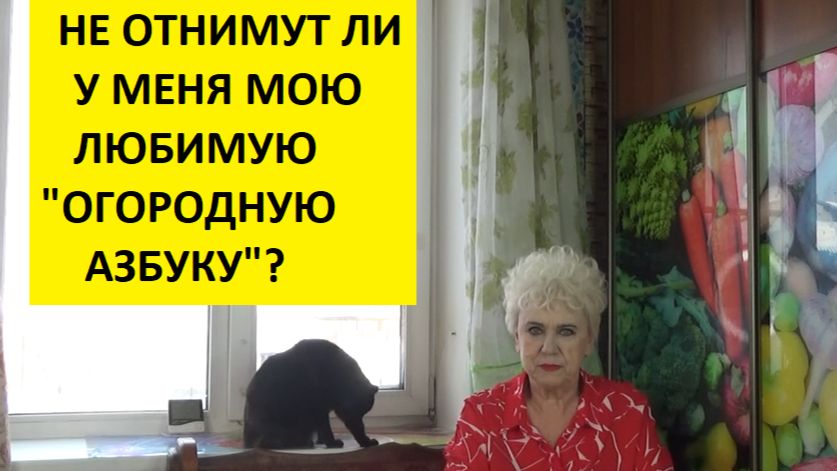 Помогите мне "РАЗОБРАТЬСЯ С КИТАЙЦАМИ"! Нужен совет умных зрителей! смотреть онлайн