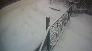 LIVE: channel74055310