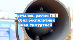 Силы ПВО уничтожили БПЛА в Удмуртии