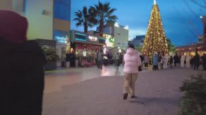 Адлер.Январь