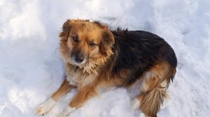 .Люся Люсенька моя