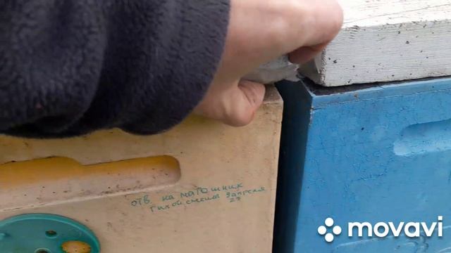 БОРЕМСЯ С МЫШАМИ. ЗИМУЕМ 5.01.2026🐝 #пасека #пчелы #пчеловодство смотреть онлайн