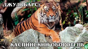 Каспийский Тигр: Самый Выносливый Тигр | Интересные факты про тигров