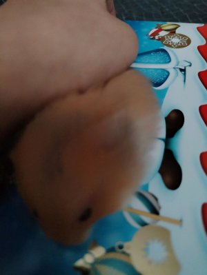 распоковка  бумажных пакетиков и желе