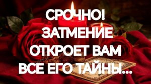 ЧТО МУЖЧИНА ТЩАТЕЛЬНО СКРЫВАЕТ⁉️ ВАЖНО ЗНАТЬ💯⁉️ТАРО РАСКЛАД