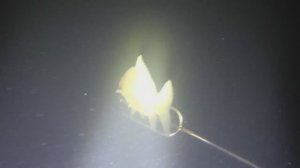 р.Кудьма август  ночная подводная охота