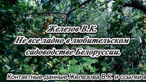 Железов В.К. Не все ладно в любительском садоводстве Белоруссии.