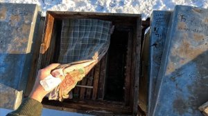 Зимовка пчёл 3 января 2026 г