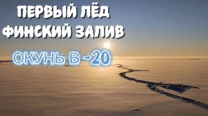 Первый лёд Финского залива. Окунь в мороз -20°C!