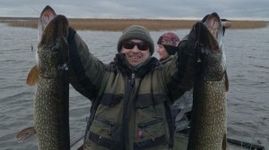 ДубноОсень2025