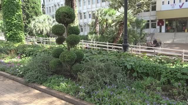 25 сентября 2022 год. Сочи. Хроника.