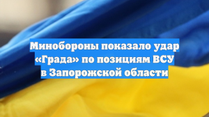 Минобороны показало удар «Града» по позициям ВСУ в Запорожской области