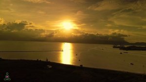 Целительная музыка для сердца и сосудов 🌿 Успокаивающие звуки для мира и восстановления