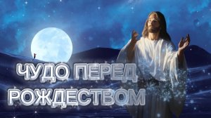 Чудо перед Рождеством