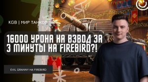 EviL GrannY ★ 16000 УРОНА НА ВЗВОД ЗА 3 МИНУТЫ НА FIREBIRD?!