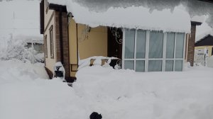 Снежный апокалипсис на Новый Год