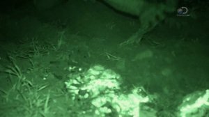 Эд Стаффорд: Игра на вылет 1 сезон 3 серия (реалити-шоу, 2019)