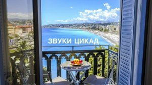 Цикады | успокаивающие звуки цикад и лета