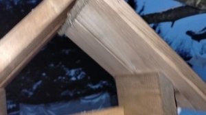 Кошки и птички.Распаковка товаров .Наши будни.Всех с Рождеством!