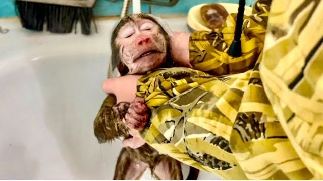 ОБХОХОЧЕШЬСЯ! Анфисе вроде как местами НРАВИТСЯ КУПАТЬСЯ, но истерику закатить - ЭТО СВЯТОЕ!)) смотреть онлайн