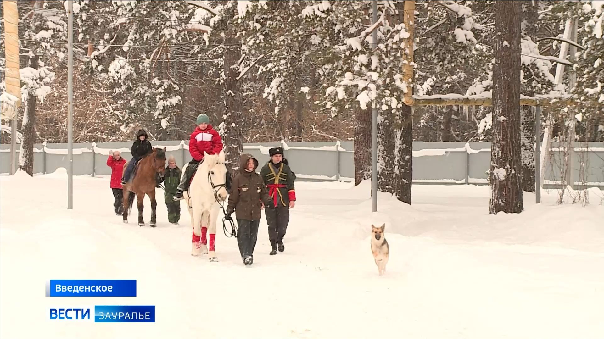 Новогодний праздник устроили волонтёры для воспитанников Введенского детского дом смотреть онлайн