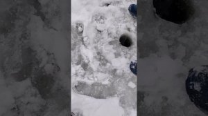 YouCut_20260106_151158884.mp4