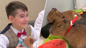 Трутнев признался, что не знал о капибарах до исполнения мечты мальчика с Чукотки.