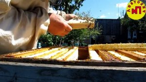 Работа ослабленных семей на начало июля