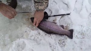 Запуск 06.01.2026 "Водопад"