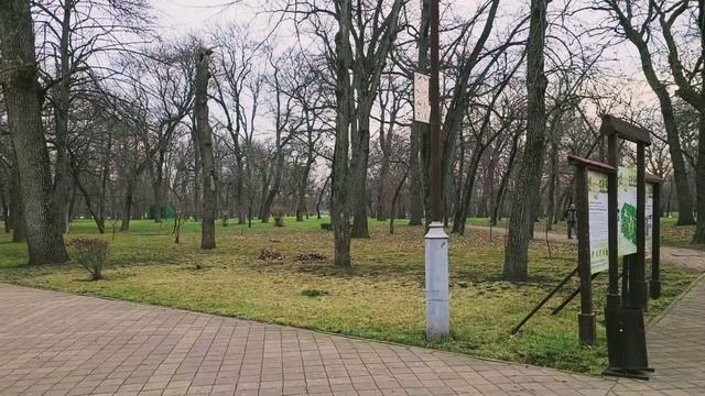 Рождественский Краснодар Чистяковская роща Новый 2026 год Путешествие с Супер Розой #путешествие смотреть онлайн