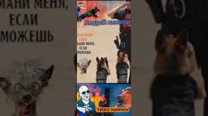 Ласковый Савелий